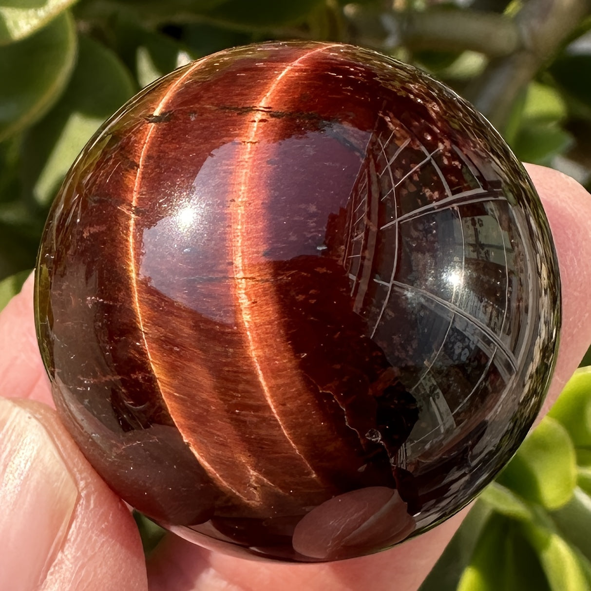 1pc Radiant Red Tiger Eye Sphere