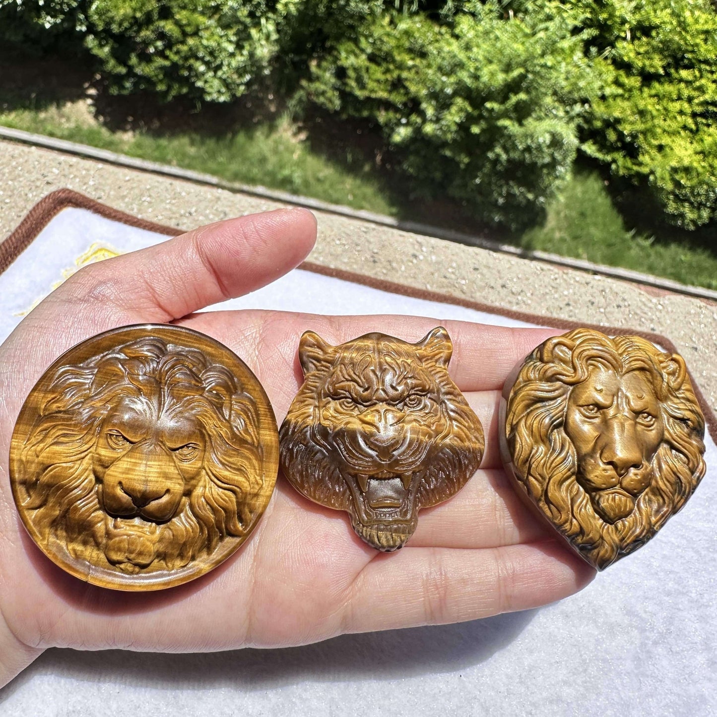 Natural Tiger Eye Animal Carving: Lion, Tiger, Wolf