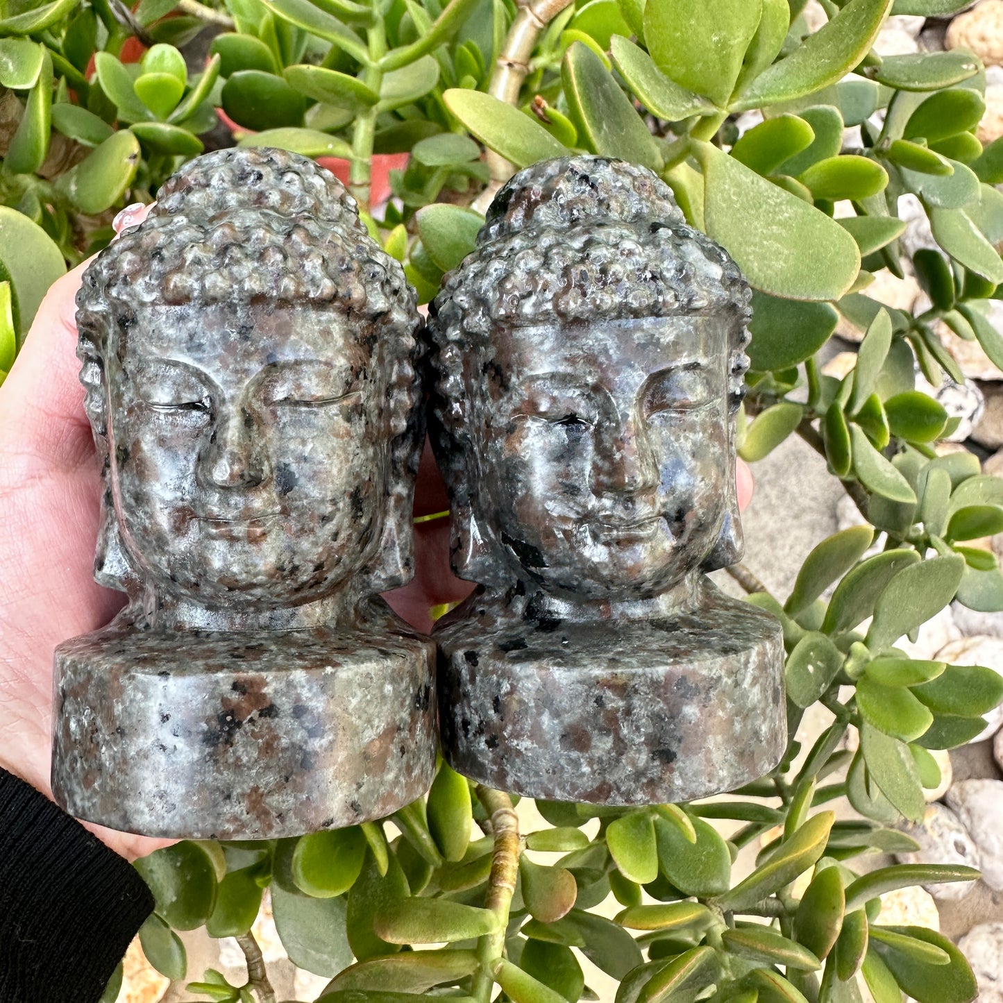 Yooperlite Buddha head